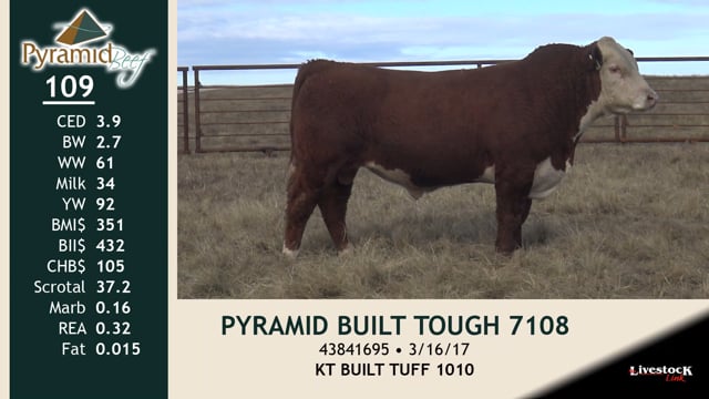 Lot #109 - PYRAMID BUILT TOUGH 7108