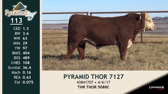 Lot #113 - PYRAMID THOR 7127