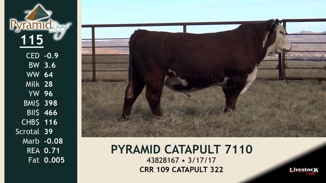 Lot #115 - PYRAMID CATAPULT 7110