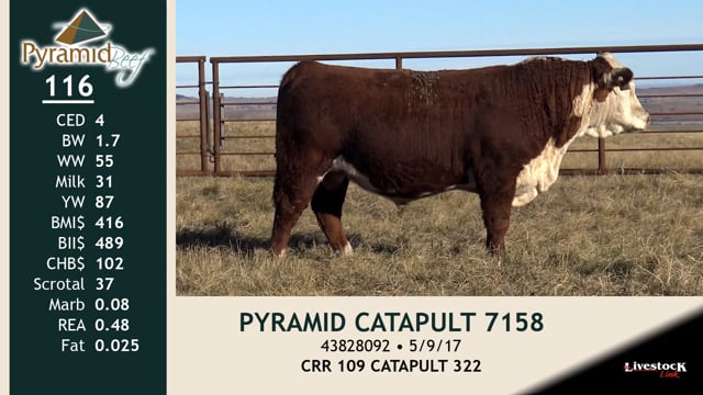 Lot #116 - PYRAMID CATAPULT 7158