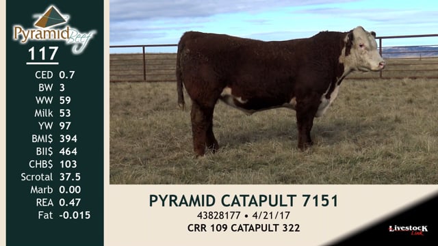 Lot #117 - PYRAMID CATAPULT 7151