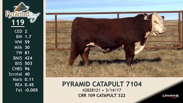 Lot #119 - PYRAMID CATAPULT 7104