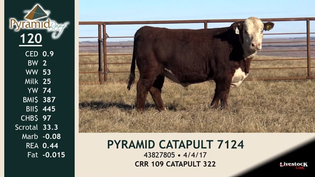 Lot #120 - PYRAMID CATAPULT 7124