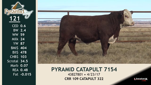 Lot #121 - PYRAMID CATAPULT 7154