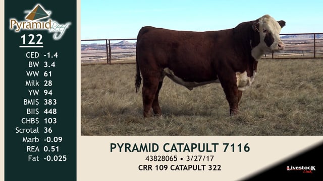Lot #122 - PYRAMID CATAPULT 7116
