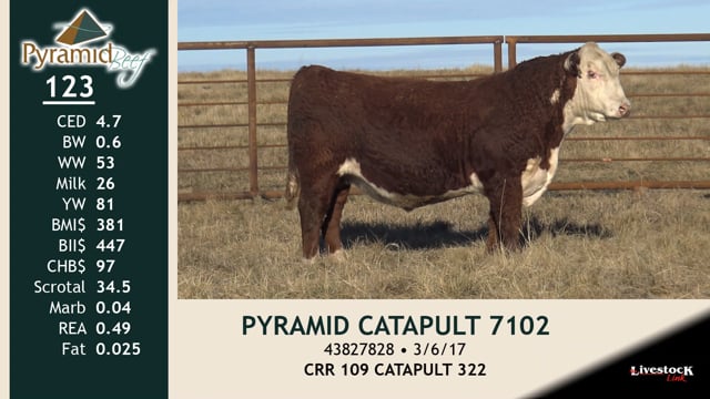 Lot #123 - PYRAMID CATAPULT 7102
