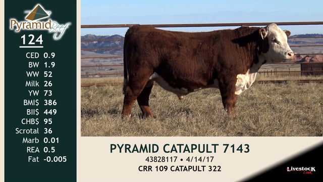 Lot #124 - PYRAMID CATAPULT 7143
