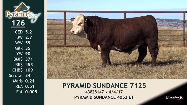 Lot #126 - PYRAMID SUNDANCE 7125