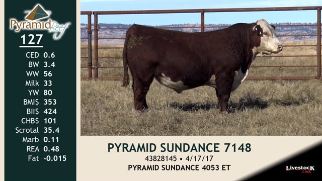 Lot #127 - PYRAMID SUNDANCE 7148