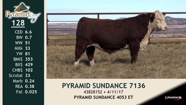 Lot #128 - PYRAMID SUNDANCE 7136