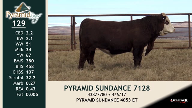 Lot #129 - PYRAMID SUNDANCE 7128