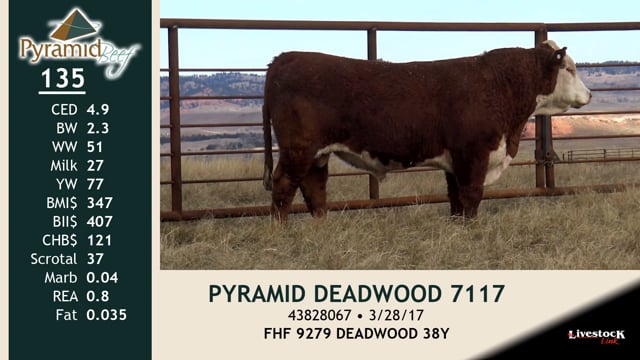 Lot #135 - PYRAMID DEADWOOD 7117