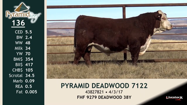 Lot #136 - PYRAMID DEADWOOD 7122