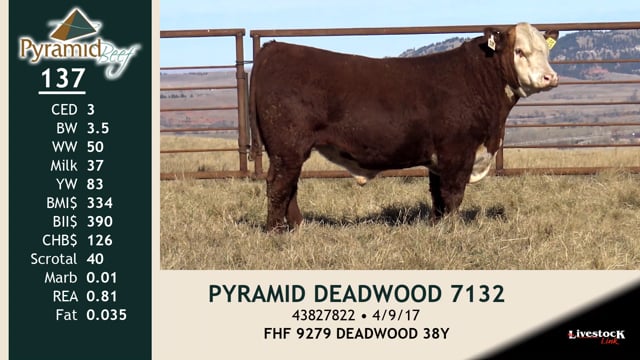 Lot #137 - PYRAMID DEADWOOD 7132