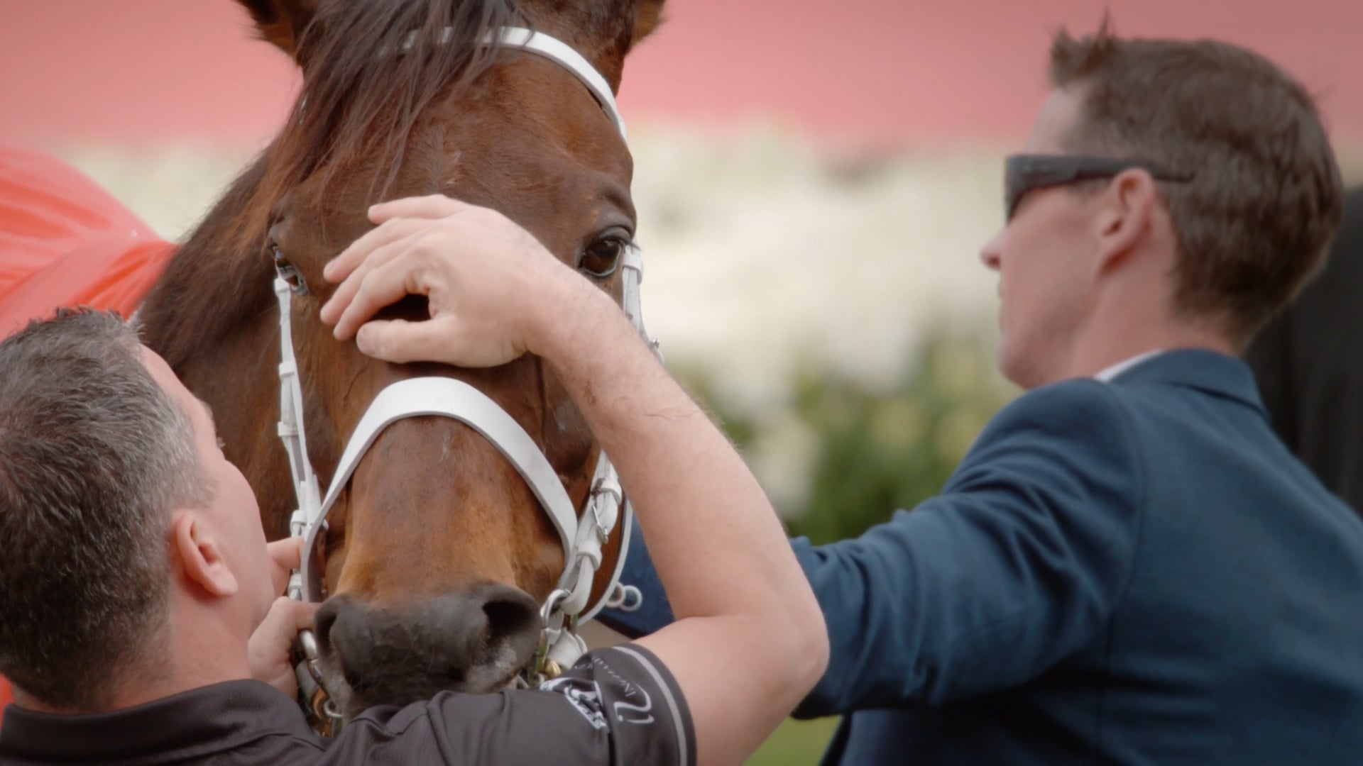 Cox Plate 2018 - Winx