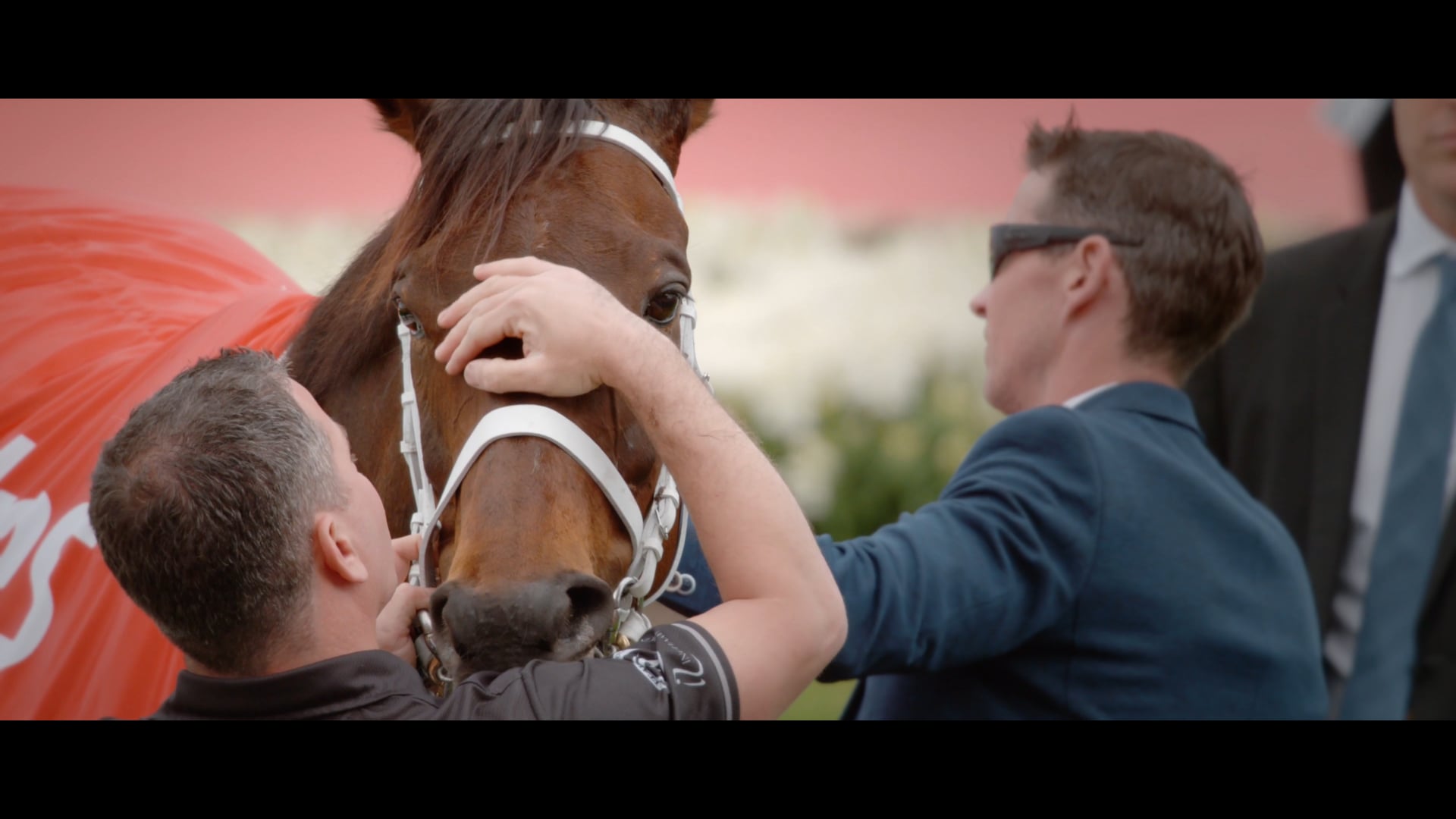 Cox Plate 2018 - Winx