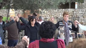 Aplec de Sant Martí