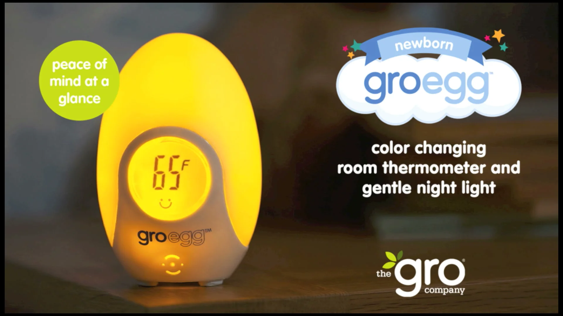 The Groegg Room Thermometer + owl cover