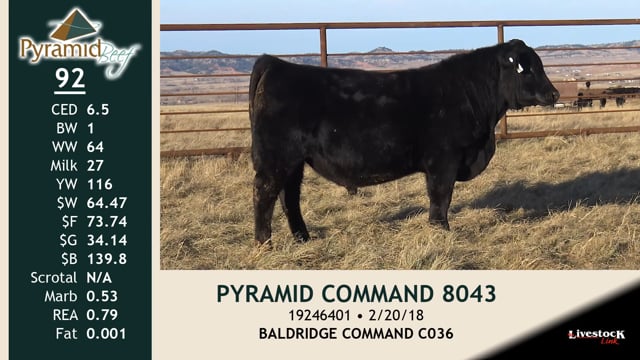 Lot #92 - PYRAMID COMMAND 8043