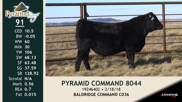 Lot #91 - PYRAMID COMMAND 8044