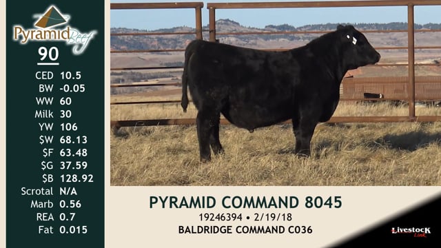 Lot #90 - PYRAMID COMMAND 8045