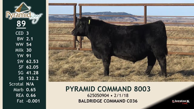 Lot #89 - PYRAMID COMMAND 8003