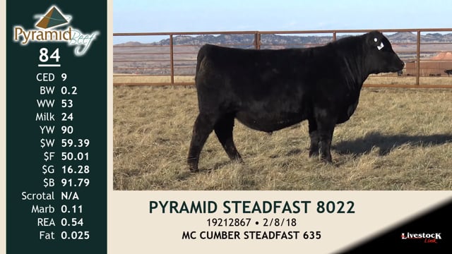 Lot #84 - PYRAMID STEADFAST 8022