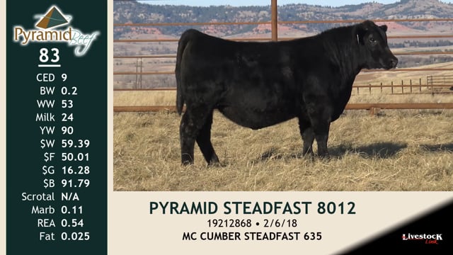Lot #83 - PYRAMID STEADFAST 8012