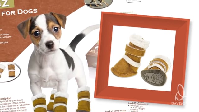 Davison Inventing - Dare to Invent Pugz Shoes for Dogs