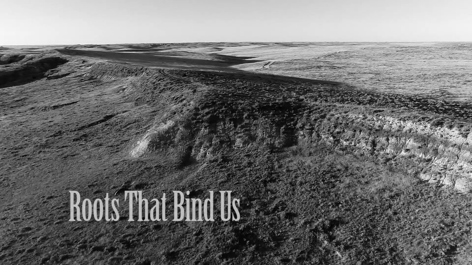 Roots that Bind Us