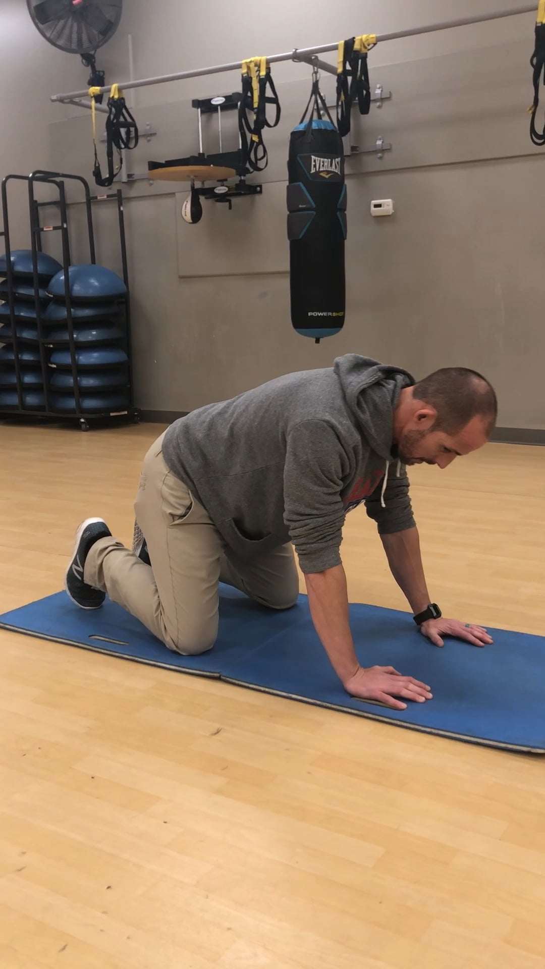 Quadruped Hip Rocks