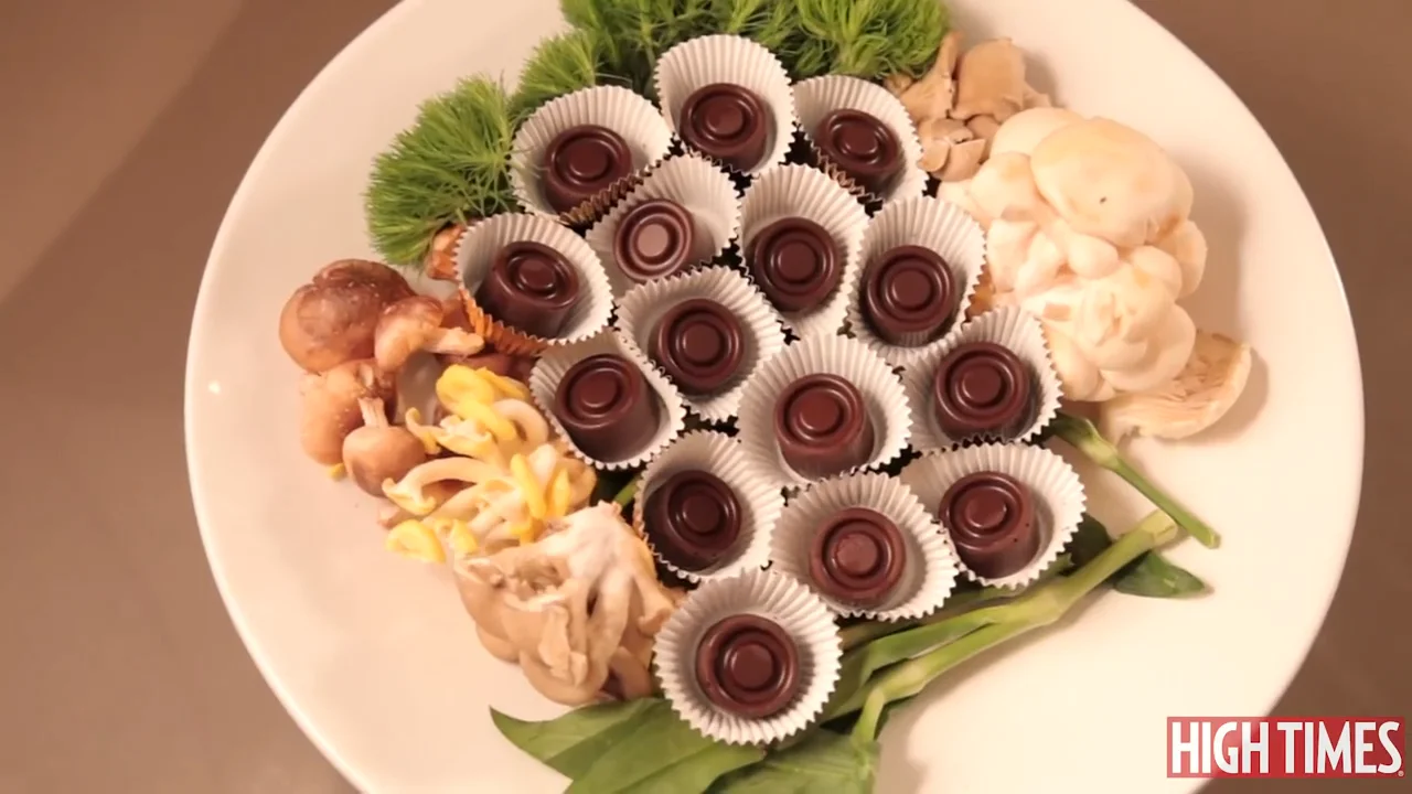 Mushroom Chocolates: A Shroom Chocolates Recipe - DoubleBlind Mag