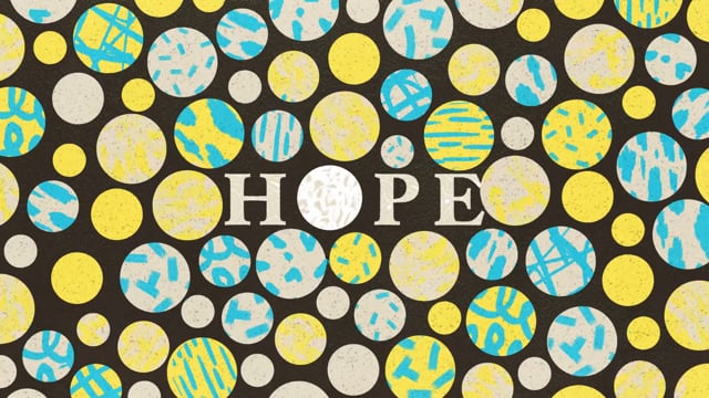 Rise - Customer Success Story