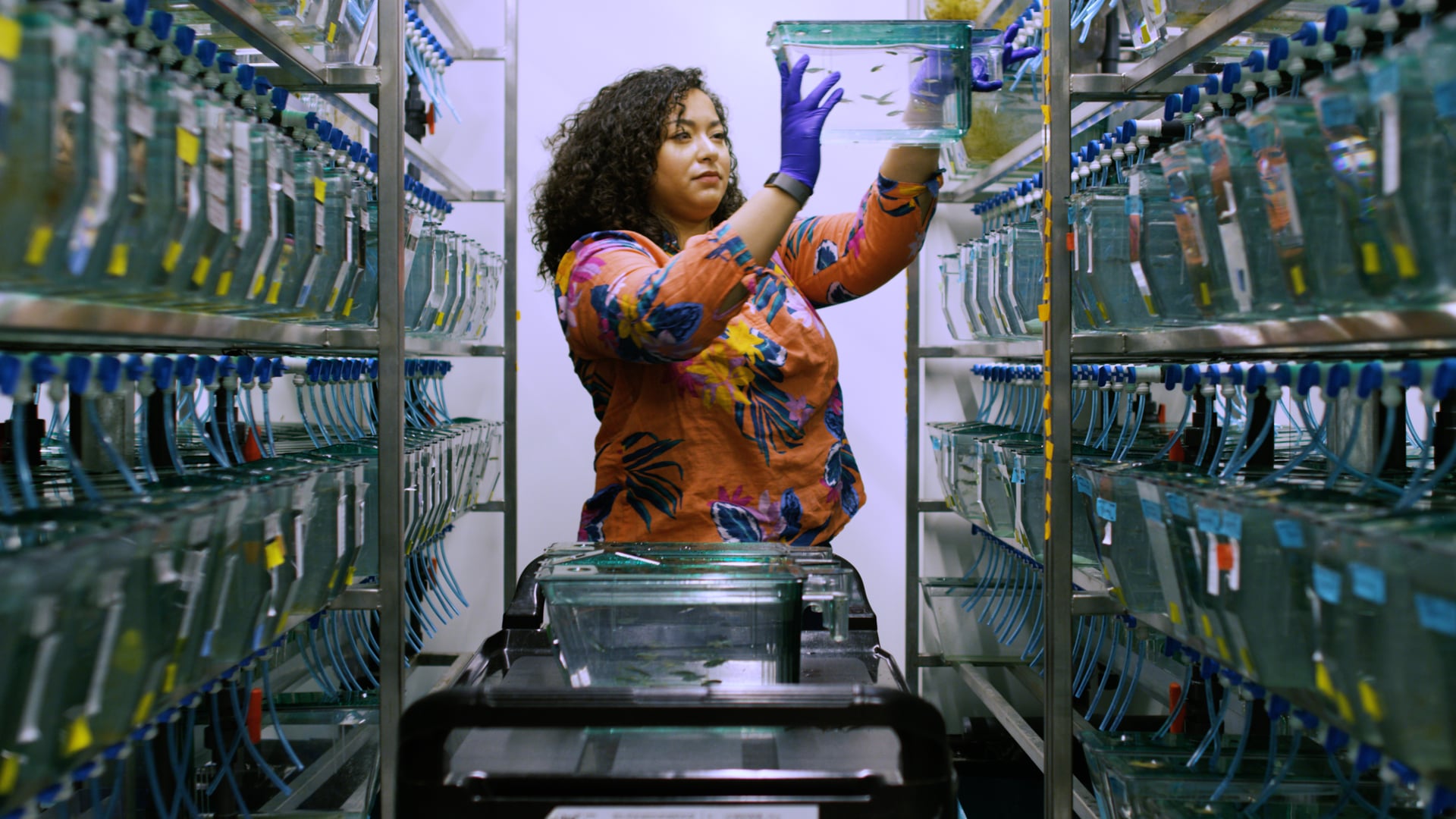 What if We Could Regrow Nerves, Organs and Tissue?