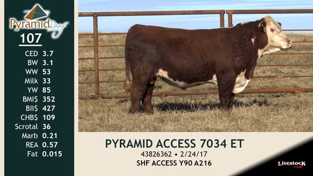 Lot #107 - PYRAMID ACCESS 7034 ET