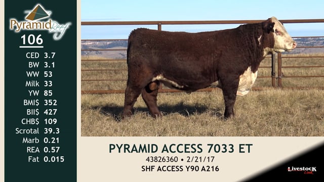 Lot #106 - PYRAMID ACCESS 7033 ET