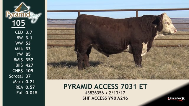 Lot #105 - PYRAMID ACCESS 7031 ET
