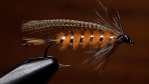 A fly vise holding a undefined after it is tied