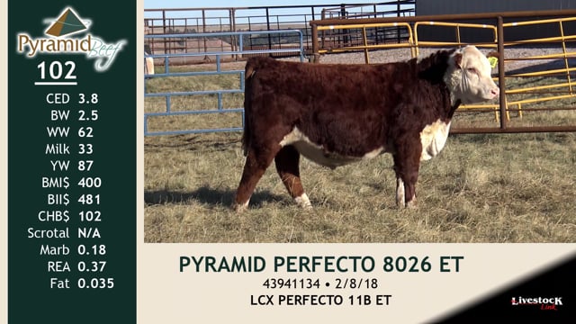 Lot #102 - PYRAMID PERFECTO 8026 ET