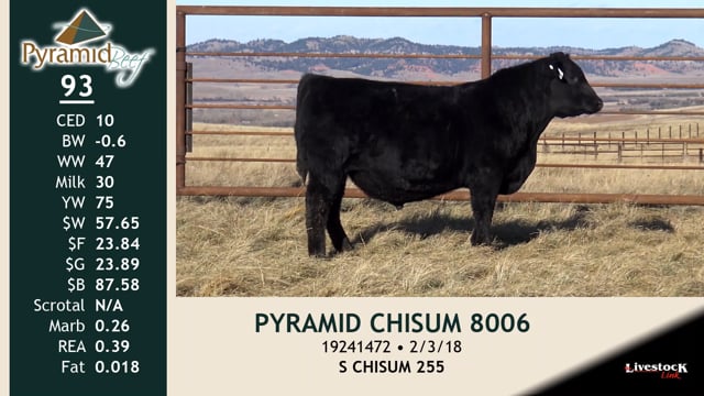 Lot #93 - PYRAMID CHISUM 8006