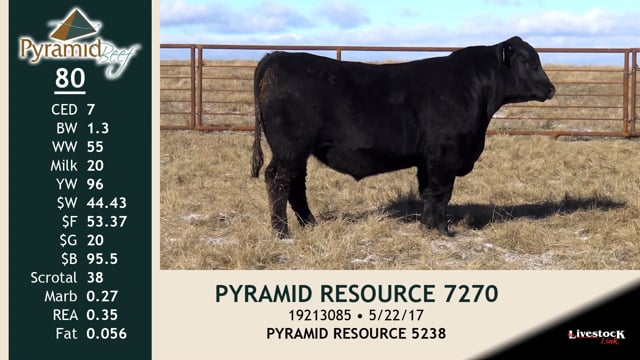 Lot #80 - PYRAMID RESOURCE 7270