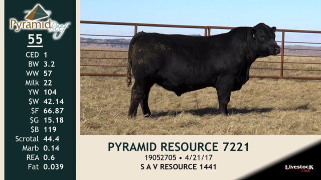 Lot #55 - PYRAMID RESOURCE 7221