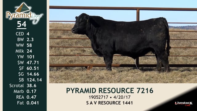 Lot #54 - PYRAMID RESOURCE 7216