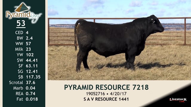 Lot #53 - PYRAMID RESOURCE 7218