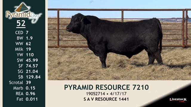 Lot #52 - PYRAMID RESOURCE 7210