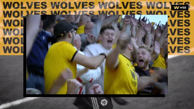 W88 - Wolves training video - Connecting Brands