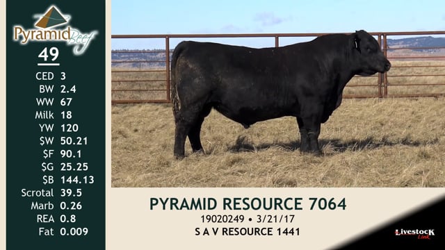 Lot #49 - PYRAMID RESOURCE 7064