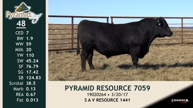 Lot #48 - PYRAMID RESOURCE 7059