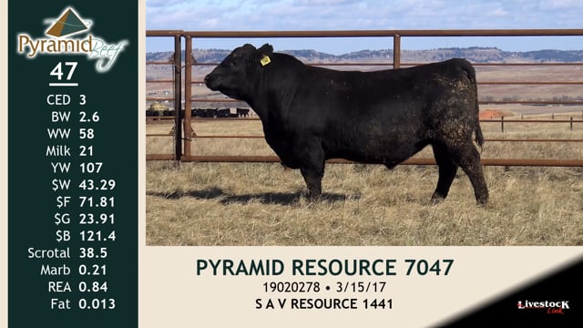 Lot #47 - PYRAMID RESOURCE 7047