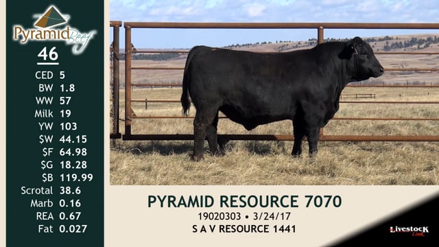 Lot #46 - PYRAMID RESOURCE 7070